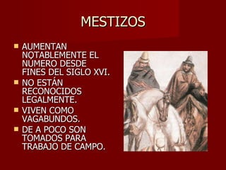 MESTIZOS AUMENTAN NOTABLEMENTE EL NÚMERO DESDE FINES DEL SIGLO XVI. NO ESTÁN RECONOCIDOS LEGALMENTE. VIVEN COMO VAGABUNDOS. DE A POCO SON TOMADOS PARA TRABAJO DE CAMPO. 