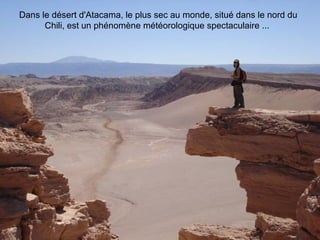Dans le désert d'Atacama, le plus sec au monde, situé dans le nord du
Chili, est un phénomène météorologique spectaculaire ...
 