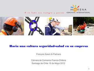 Hacia una cultura seguridad-salud en su empresa
François Kaisin & Partners
Cámara de Comercio Franco-Chilena
Santiago de Chile 16 de Mayo 2012
1

 