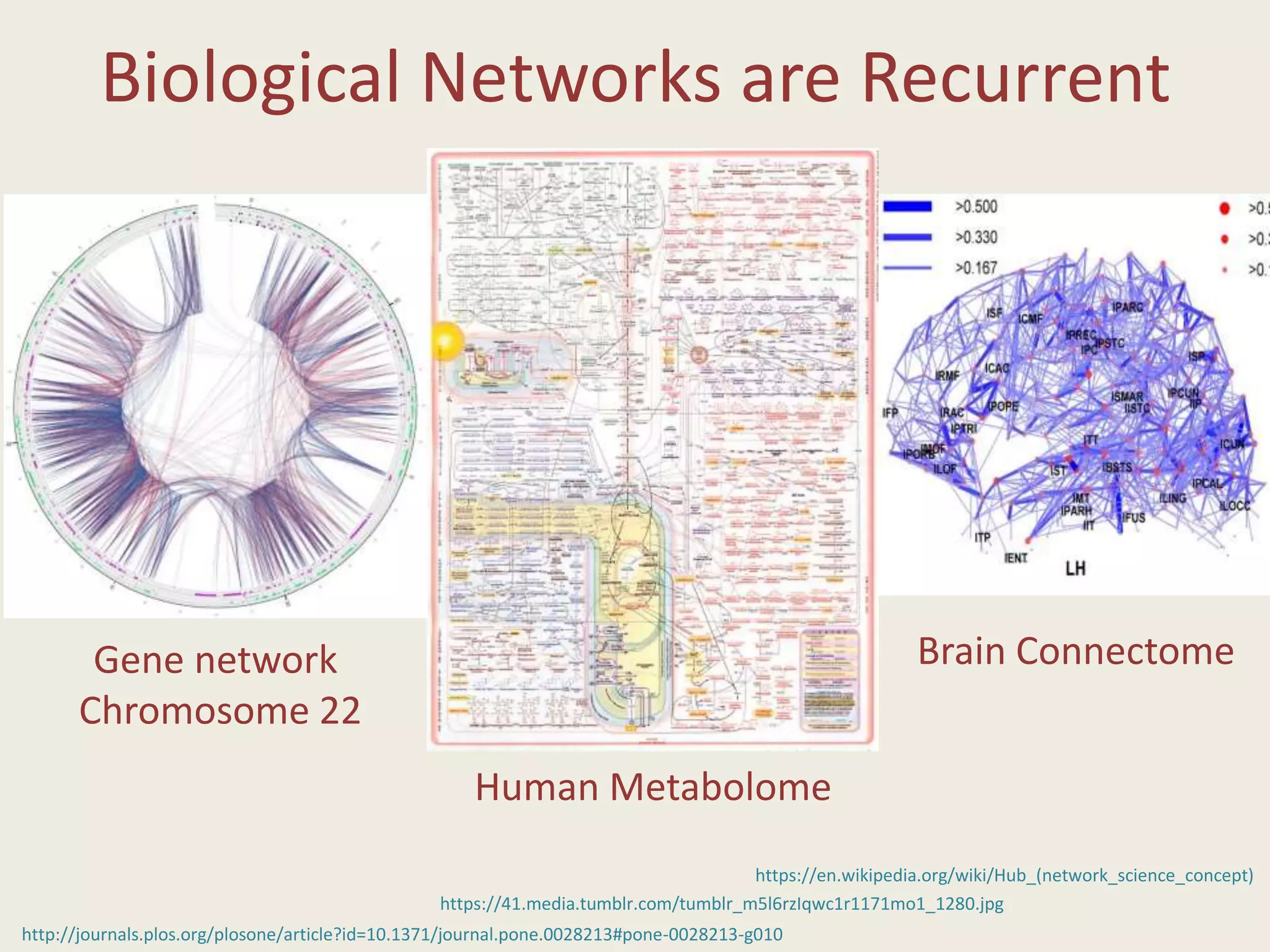 Biological Networks are Recurrent
Gene network
Chromosome 22
Human Metabolome
Brain Connectome
http://journals.plos.org/plosone/article?id=10.1371/journal.pone.0028213#pone-0028213-g010
https://41.media.tumblr.com/tumblr_m5l6rzIqwc1r1171mo1_1280.jpg
https://en.wikipedia.org/wiki/Hub_(network_science_concept)
 