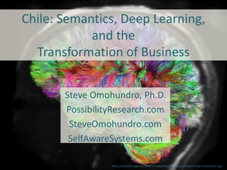 Chile: Semantics, Deep Learning,
and the
Transformation of Business
Steve Omohundro, Ph.D.
PossibilityResearch.com
SteveOmohundro.com
SelfAwareSystems.com
http://discovermagazine.com/~/media/Images/Issues/2013/Jan-Feb/connectome.jpg
 