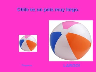 Chile es un pais muy largo.
Pequena. LARGO!