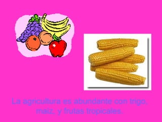 La agricultura es abundante con trigo,
maiz, y frutas tropicales.