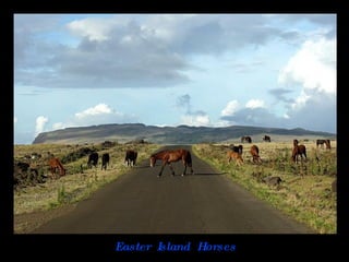 Easter  Island  Horses 