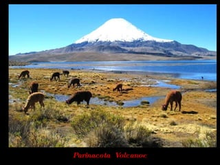 Parinacota  Volcanoe 