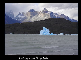 Icebergs  on Grey Lake 