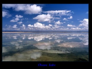 Chaxa  Lake  