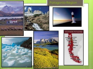 Patagonia Region
 