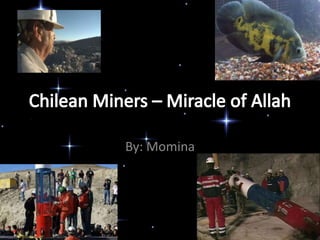 Chilean Miners – Miracle of Allah By: Momina 