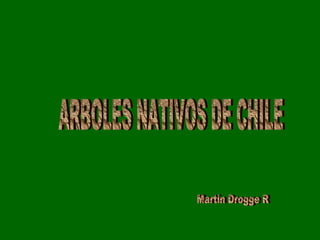 ARBOLES NATIVOS DE CHILE Martin Drogge R 
