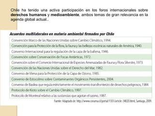 Chile ha tenido una activa participación en los foros internacionales sobre 
derechos humanos y medioambiente, ambos temas de gran relevancia en la 
agenda global actual.. 
 