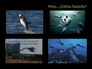 Pero… ¿Cómo hacerlo?
 