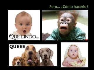 Pero… ¿Cómo hacerlo?
 