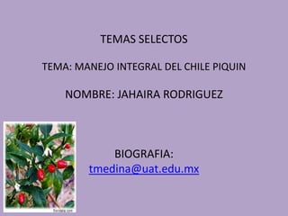 TEMAS SELECTOSTEMA: MANEJO INTEGRAL DEL CHILE PIQUINNOMBRE: JAHAIRA RODRIGUEZBIOGRAFIA:tmedina@uat.edu.mx 