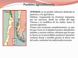 Pueblos agroalfarerosAYMARAS: es un pueblo milenario dedicado al pastoreo y a la agricultura.Habitan, traspasando las fronteras impuestas por las naciones, desde las orillas del lago Titicaca y la cordillera de los Andes, hasta el noreste argentino. Tienen una economía complementaria, ya que los que viven en el altiplano poseen abundantes rebaños y escasos cultivos, mientras que los que lo hacen en la precordillera producen bastantes verduras frutas y semillas gracias al eficaz uso del suelo, mediante las tradicionales terrazas. 