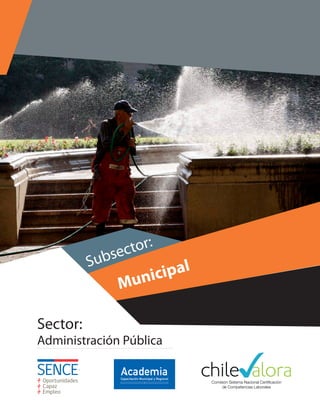 Sector:
Administración Pública
Subsector:
Municipal
 
