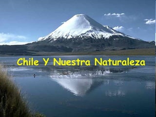 Chile Y Nuestra Naturaleza 