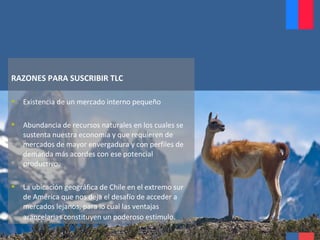 RAZONES PARA SUSCRIBIR TLC
 Existencia de un mercado interno pequeño
 Abundancia de recursos naturales en los cuales se
sustenta nuestra economía y que requieren de
mercados de mayor envergadura y con perfiles de
demanda más acordes con ese potencial
productivo.
 La ubicación geográfica de Chile en el extremo sur
de América que nos deja el desafío de acceder a
mercados lejanos, para lo cual las ventajas
arancelarias constituyen un poderoso estimulo.
 