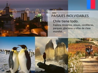 Chile tiene todo.
Explora desiertos, playas, cordilleras,
parques, glaciares y viñas de clase
mundial.
PAISAJES INOLVIDABLES
 
