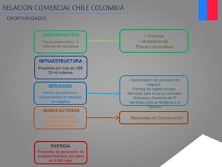 INFRAESTRUCTURA
Proyectos por más de US$
20 mil millones
ENERGIA
Proyectos de generación de
energía hidráulica por cerca
de 3.000 mgw.
AGROINDUSTRIA
Tierras para cultivo : 4
millones de hectáreas
- Forestal
- Hortofrutícola
- Pesca y acuicultura
MANUFACTURAS
Crecimiento de la
construcción a tasas
superiores al 15%.
Materiales de Construcción
SERVICIOS
Interés del gobierno y
disponibilidad de recursos
de regalías
-Tercerización de procesos de
negocio.
-Fondos de capital privado
-Servicios para el sector petrolero
-Software y Servicios de TI
-Servicios para la Hotelería y el
Turismo
RELACION COMERCIAL CHILE COLOMBIA
OPORTUNIDADES
 