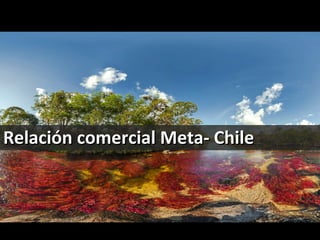 Relación comercial Meta- ChileRelación comercial Meta- Chile
 