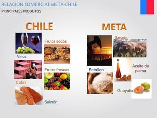 Frutas frescas
Frutos secos
Cobre
Salmón
Vinos
Ganado
GuayabaArroz
Aceite de
palmaPetróleo
RELACION COMERCIAL META-CHILE
PRINCIPALES PRODUTOSPRINCIPALES PRODUTOS
 