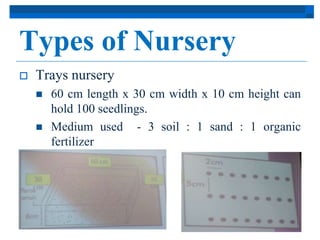 Types of Nursery 
 Trays nursery 
 60 cm length x 30 cm width x 10 cm height can 
hold 100 seedlings. 
 Medium used - 3 soil : 1 sand : 1 organic 
fertilizer 
 