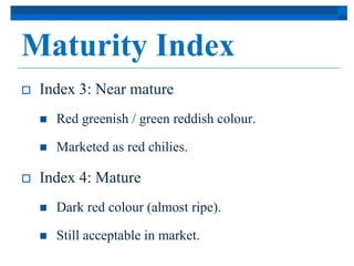 Maturity Index 
 Index 3: Near mature 
 Red greenish / green reddish colour. 
 Marketed as red chilies. 
 Index 4: Mature 
 Dark red colour (almost ripe). 
 Still acceptable in market. 
 