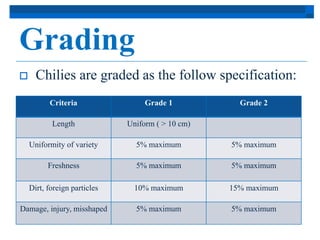 Grading 
 Chilies are graded as the follow specification: 
Criteria Grade 1 Grade 2 
Length Uniform ( > 10 cm) 
Uniformity of variety 5% maximum 5% maximum 
Freshness 5% maximum 5% maximum 
Dirt, foreign particles 10% maximum 15% maximum 
Damage, injury, misshaped 5% maximum 5% maximum 
 