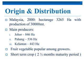 Origin & Distribution 
 Malaysia, 2000: hectarage 3265 Ha with 
production of 30000mt. 
 Main producers: 
i. Johor – 846 Ha 
ii. Pahang – 536 Ha 
iii. Kelantan – 443 Ha 
 Fruit vegetable popular among growers. 
 Short term crop ( 2 ½ months maturity period ) 
 