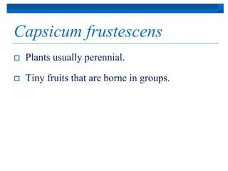 Capsicum frustescens 
 Plants usually perennial. 
 Tiny fruits that are borne in groups. 
 