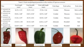 Chili, peppers taxonomy origin evolution male sterility,chilli species classification, flower biology, 