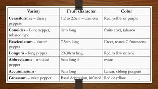 Chili, peppers taxonomy origin evolution male sterility,chilli species classification, flower biology, 