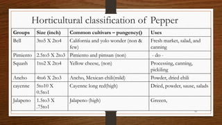 Chili, peppers taxonomy origin evolution male sterility,chilli species classification, flower biology, 