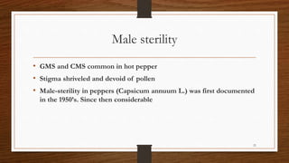 Chili, peppers taxonomy origin evolution male sterility,chilli species classification, flower biology, 