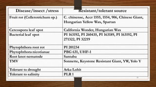 Chili, peppers taxonomy origin evolution male sterility,chilli species classification, flower biology, 