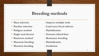 Chili, peppers taxonomy origin evolution male sterility,chilli species classification, flower biology, 