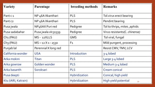 Chili, peppers taxonomy origin evolution male sterility,chilli species classification, flower biology, 