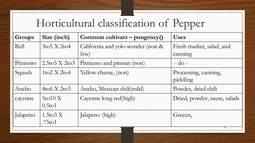 Chili, peppers taxonomy origin evolution male sterility,chilli specie…