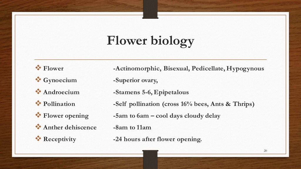 Chili, peppers taxonomy origin evolution male sterility,chilli specie…
