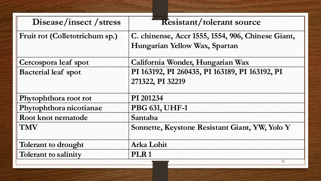 Chili, peppers taxonomy origin evolution male sterility,chilli specie…
