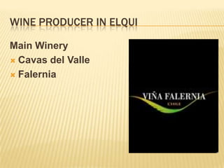 WINE PRODUCER IN ELQUIMain WineryCavas del ValleFalernia