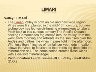 LIMARIValley: LIMARÍThe Limarí Valley is both an old and new wine region. Vines were first planted in the mid-16th century, but new technology has led terroir-hunting winemakers to take a fresh look at this curious territory.The Pacific Ocean’s cooling Camanchaca fog creeps into the valley from the west each morning and retreats as the sun rises over the Andes and bathes the vines in pure light in the afternoon. With less than 4 inches of rainfall per year, drip irrigation allows the vines to flourish as their roots dig deep into the mineral-rich soil. The combination creates fresh wines with a distinct mineral edge.Pronunciation Guide: lee-ma-REE (Valley); ko-KIM-bo (D.O.)