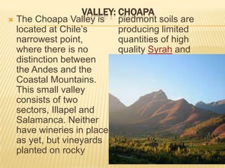 Valley: CHOAPAThe Choapa Valley is located at Chile’s narrowest point, where there is no distinction between the Andes and the Coastal Mountains. This small valley consists of two sectors, Illapel and Salamanca. Neither have wineries in place as yet, but vineyards planted on rocky piedmont soils are producing limited quantities of high quality Syrah and Cabernet Sauvignon grapes with high acidity and low pH.Pronunciation Guide: cho-AH-pa (Valley); ko-KIM-bo (D.O.)
