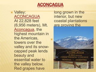 AconcaguaValley: ACONCAGUAAt 22,828 feet (6,956 meters), Mt. Aconcagua, the highest mountain in the Americas, towers over the valley and its snow-capped peak lends beauty and essential water to the valley below. Red grapes have long grown in the interior, but new coastal plantations are proving the valley’s potential for white wines as well.Pronunciation Guide: ah-kohn-KAH-gwa(Valley & D.O.)