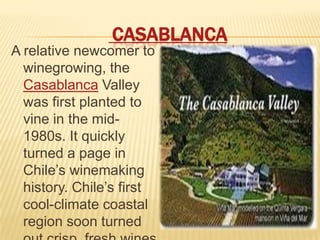 CASABLANCAA relative newcomer to winegrowing, the Casablanca Valley was first planted to vine in the mid-1980s. It quickly turned a page in Chile’s winemaking history. Chile’s first cool-climate coastal region soon turned out crisp, fresh wines that caught the world’s attention, and Chile’s search for new terroirs was on.Pronunciation Guide: ka-sa-BLAHN-ka (Valley); ah-kohn-KA-gwa (D.O.) 