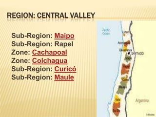 Region: CENTRAL VALLEYSub-Region: MaipoSub-Region: RapelZone: CachapoalZone: ColchaguaSub-Region: CuricóSub-Region: Maule