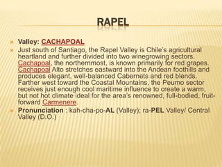 RAPELValley: CACHAPOALJust south of Santiago, the Rapel Valley is Chile’s agricultural heartland and further divided into two winegrowing sectors. Cachapoal, the northernmost, is known primarily for red grapes. Cachapoal Alto stretches eastward into the Andean foothills and produces elegant, well-balanced Cabernets and red blends. Farther west toward the Coastal Mountains, the Peumo sector receives just enough cool maritime influence to create a warm, but not hot climate ideal for the area’s renowned, full-bodied, fruit-forward Carmenere.Pronunciation : kah-cha-po-AL (Valley); ra-PEL Valley/ Central Valley (D.O.)