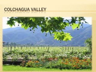 COLCHAGUA VALLEY