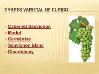 GRAPES VARIETAL OF CURICOCabernet SauvignonMerlotCarménèreSauvignon BlancChardonnay
